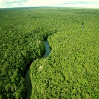 /album/pamiatky/amazonia-forest-jpg/